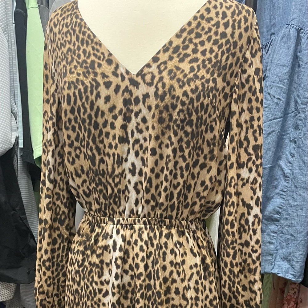 Express Leopard Print Dress